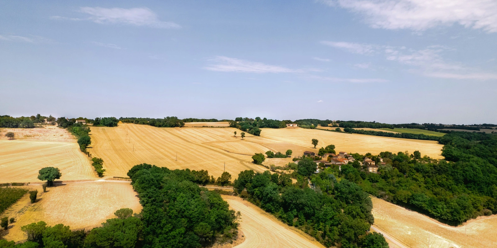 BUT GEA : Débouchés et Métiers en Normandie