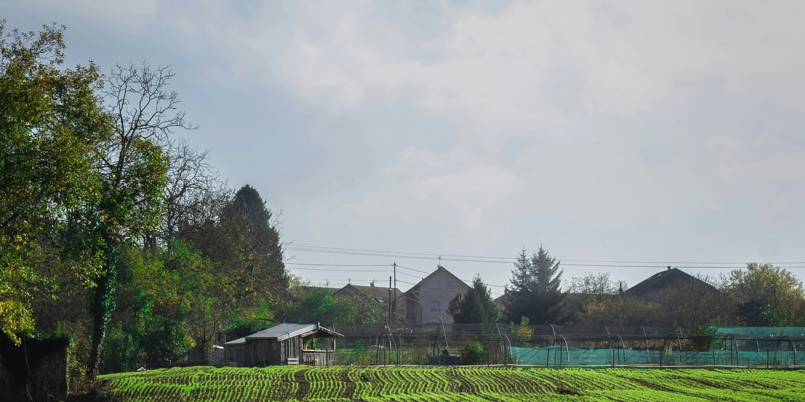 BUT GEA : Les Débouchés en Gestion Administrative