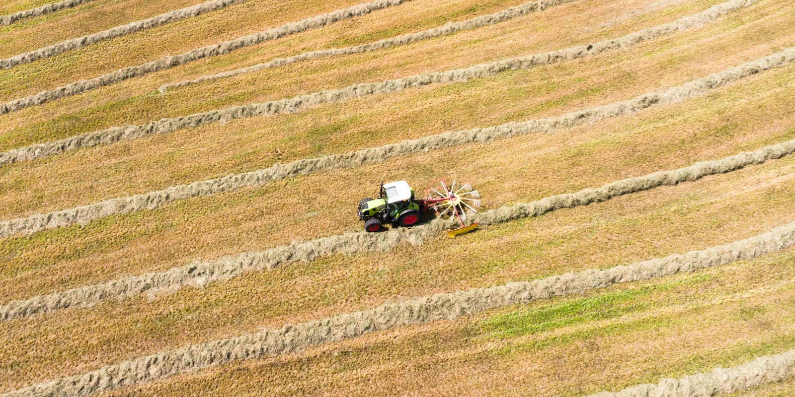 Comparaison Entre BUT GEA et BTS Gestion des Administrations