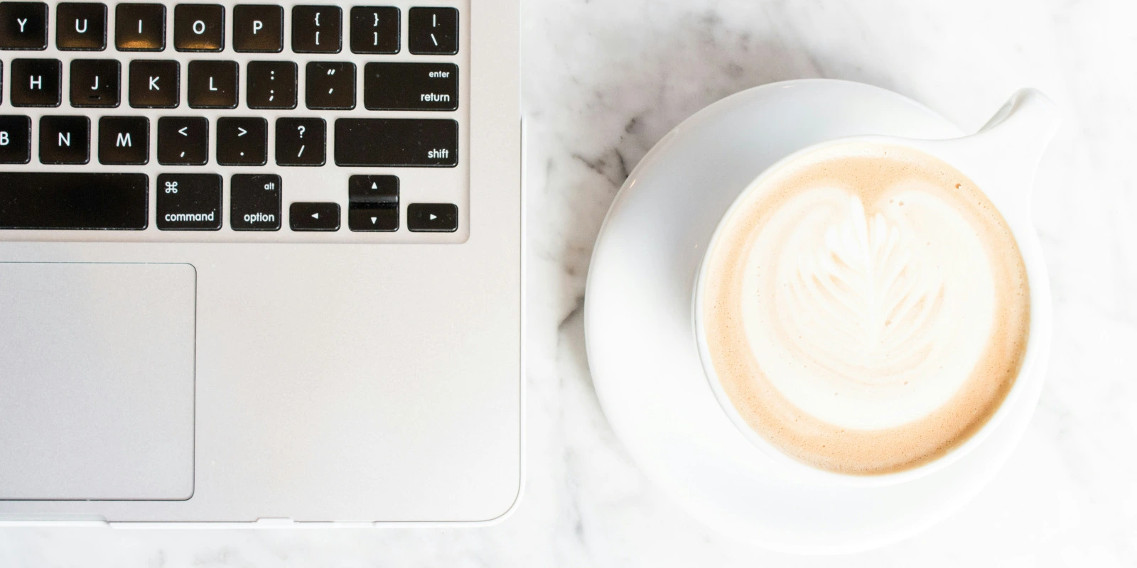 IUT de Bordeaux : Programme et Débouchés en Sciences de Gestion