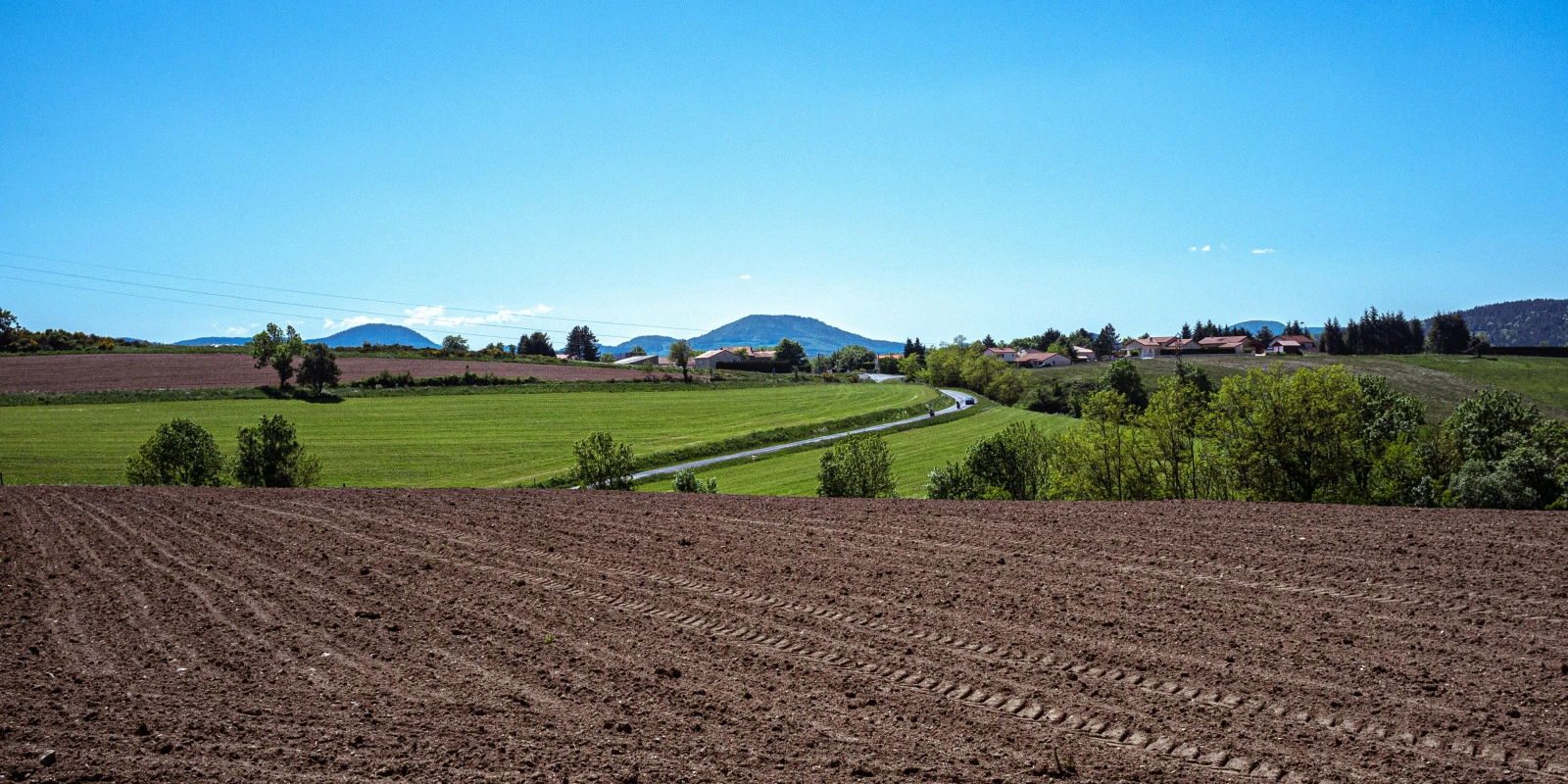 Le Programme Pédagogique National du DUT GEA