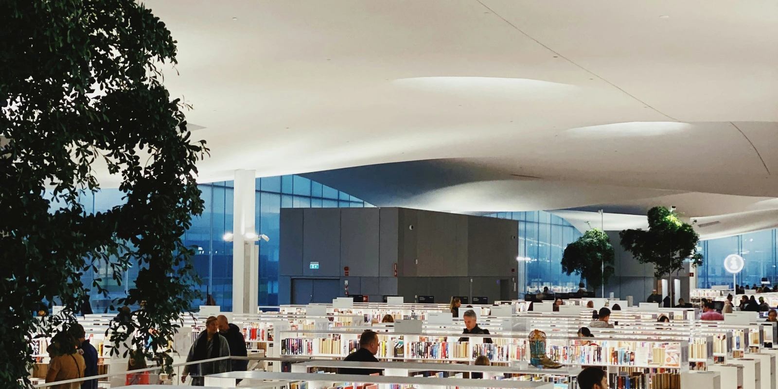 Les Stages Obligatoires en BUT GEA