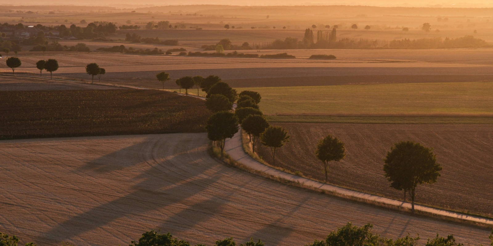 Qu'est-ce que le BUT GEA : Définition et Perspectives